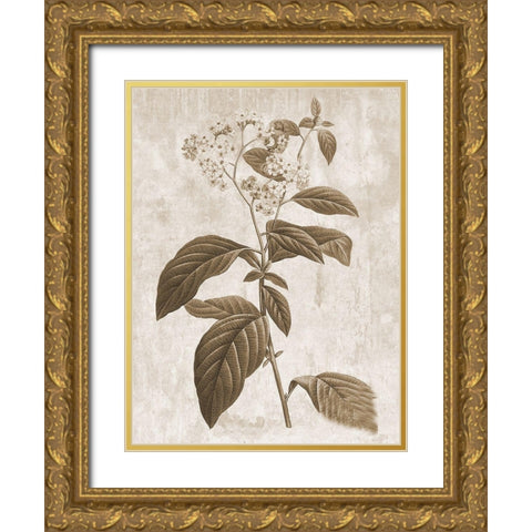 Earth Balance 10 Gold Ornate Wood Framed Art Print with Double Matting by Lewis, Sheldon