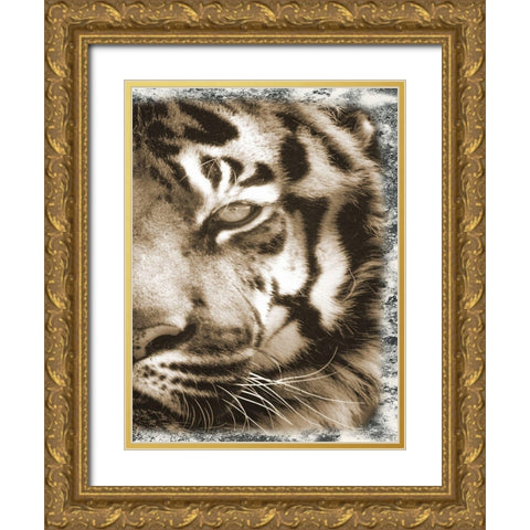 Tiger Claw 2 Gold Ornate Wood Framed Art Print with Double Matting by Lewis, Sheldon