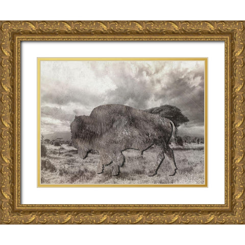 Bison 2 Gold Ornate Wood Framed Art Print with Double Matting by Lewis, Sheldon