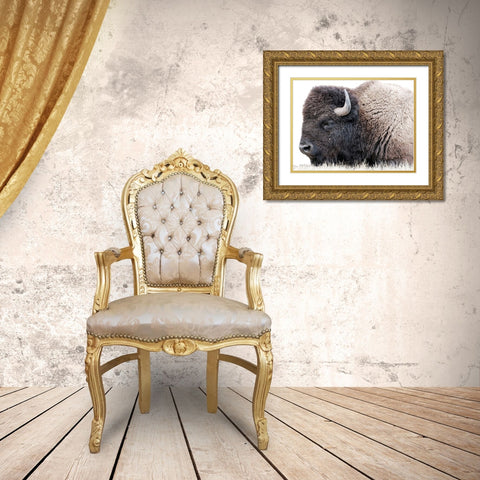 Baby Buff 2 Gold Ornate Wood Framed Art Print with Double Matting by Lewis, Sheldon