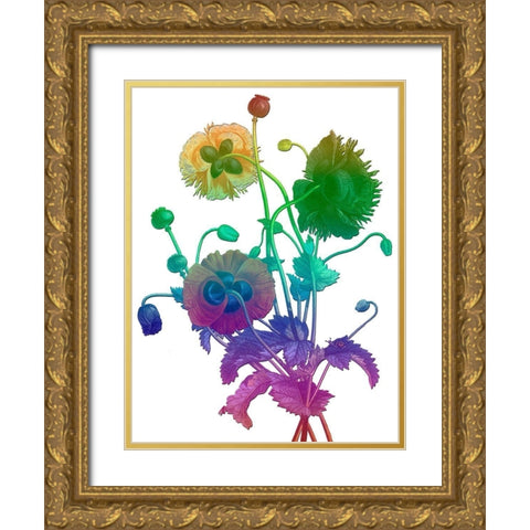 Color Bloom Gold Ornate Wood Framed Art Print with Double Matting by Lewis, Sheldon