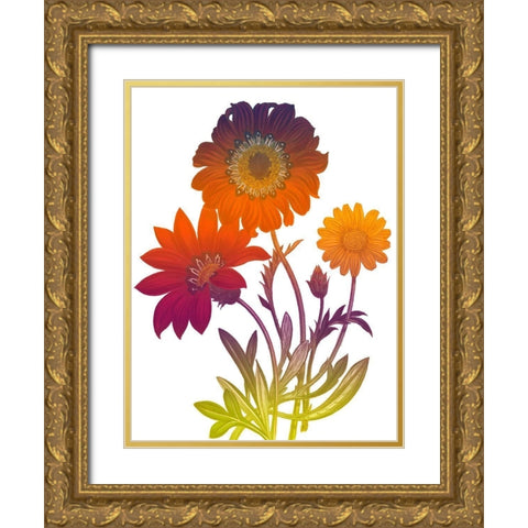Color Bloom 2 Gold Ornate Wood Framed Art Print with Double Matting by Lewis, Sheldon
