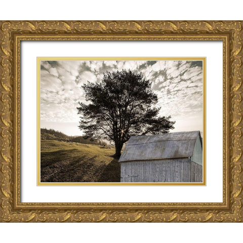 Landscape Gold Ornate Wood Framed Art Print with Double Matting by Lewis, Sheldon