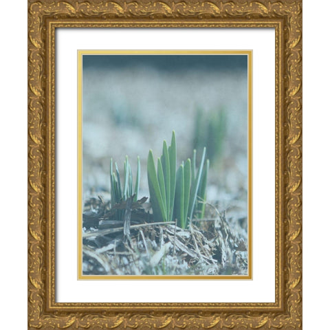 Glory Dew Gold Ornate Wood Framed Art Print with Double Matting by Lewis, Sheldon