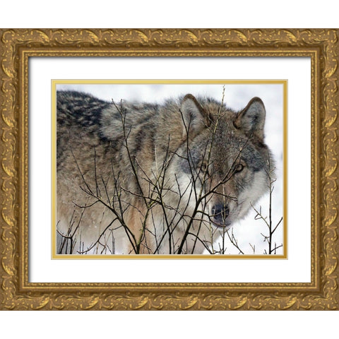 Hunter Gold Ornate Wood Framed Art Print with Double Matting by Lewis, Sheldon