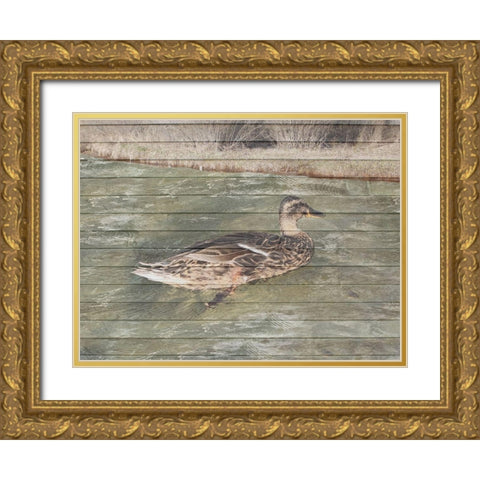 Water Duck Gold Ornate Wood Framed Art Print with Double Matting by Lewis, Sheldon