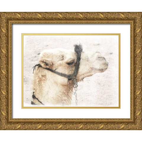 Camel 1 Gold Ornate Wood Framed Art Print with Double Matting by Lewis, Sheldon