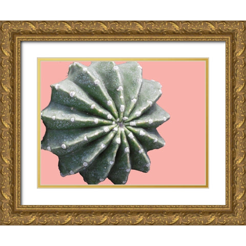 Cactus Bulb Gold Ornate Wood Framed Art Print with Double Matting by Lewis, Sheldon