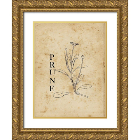 Prune Gold Ornate Wood Framed Art Print with Double Matting by Lewis, Sheldon