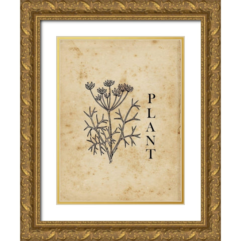 Plant Gold Ornate Wood Framed Art Print with Double Matting by Lewis, Sheldon