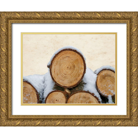 Lumberjack Gold Ornate Wood Framed Art Print with Double Matting by Lewis, Sheldon