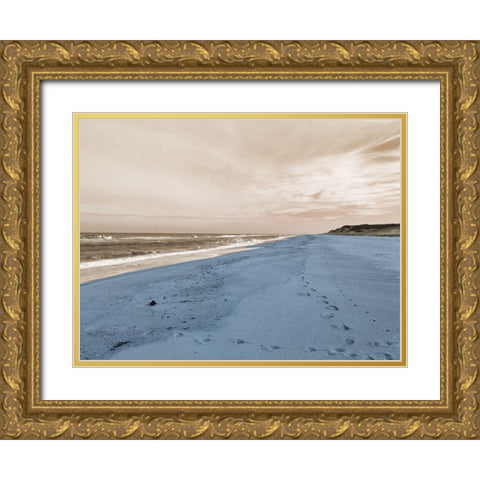 Pacific Bay Gold Ornate Wood Framed Art Print with Double Matting by Lewis, Sheldon