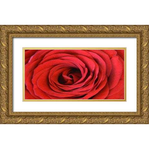 Heart Of The Rose Gold Ornate Wood Framed Art Print with Double Matting by Lewis, Sheldon