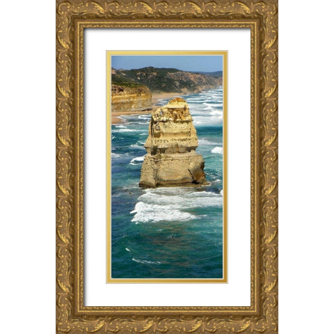Top View Coastline Gold Ornate Wood Framed Art Print with Double Matting by Lewis, Sheldon