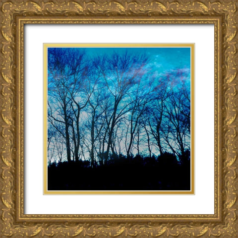 Blue Mountain 1 Gold Ornate Wood Framed Art Print with Double Matting by Lewis, Sheldon