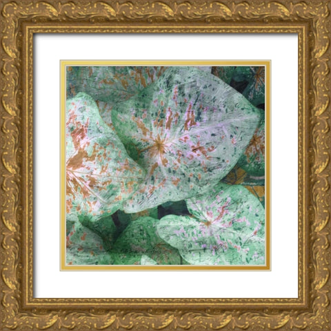 Tropical Plant 1 Gold Ornate Wood Framed Art Print with Double Matting by Lewis, Sheldon