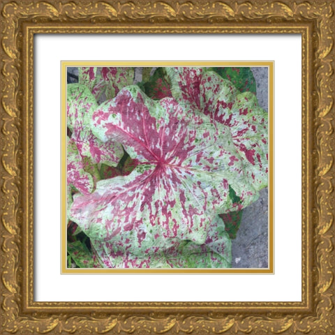 Tropical Plant 2 Gold Ornate Wood Framed Art Print with Double Matting by Lewis, Sheldon