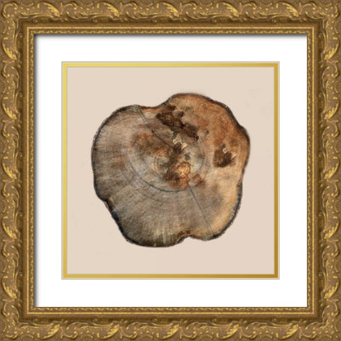 Tree Ring Stump 2 Gold Ornate Wood Framed Art Print with Double Matting by Lewis, Sheldon