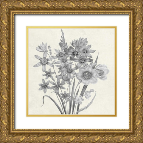 Terrarium Floral Gold Ornate Wood Framed Art Print with Double Matting by Lewis, Sheldon