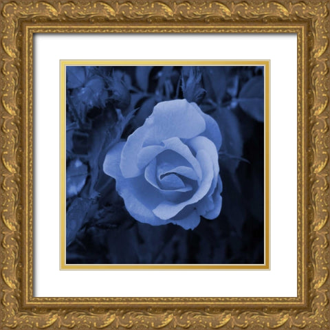 Midnight Romance Gold Ornate Wood Framed Art Print with Double Matting by Lewis, Sheldon