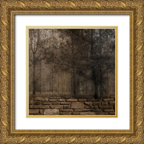 Stone Wall Landscape 2 Gold Ornate Wood Framed Art Print with Double Matting by Lewis, Sheldon