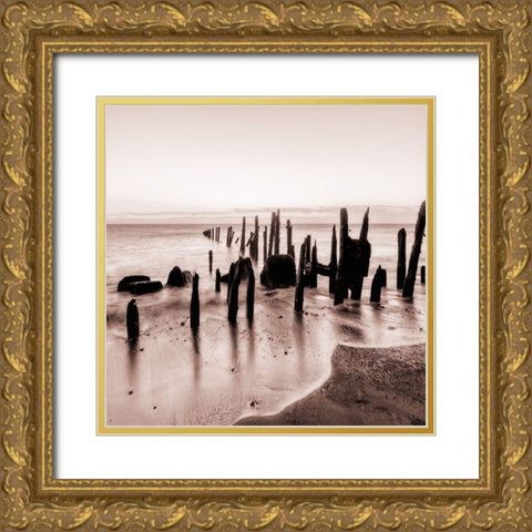 Seascape Escape Gold Ornate Wood Framed Art Print with Double Matting by Lewis, Sheldon