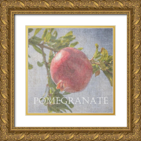 Pomegranate Gold Ornate Wood Framed Art Print with Double Matting by Lewis, Sheldon