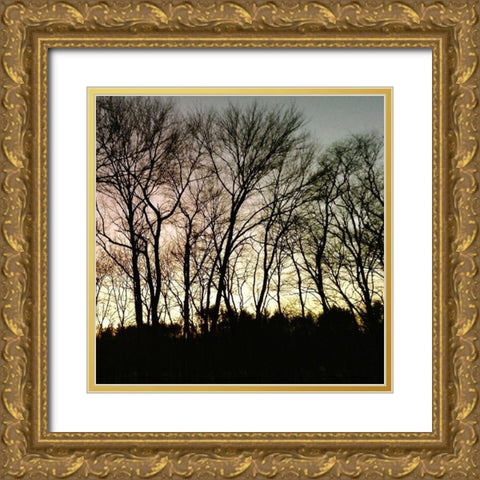 Mountain 1 Gold Ornate Wood Framed Art Print with Double Matting by Lewis, Sheldon