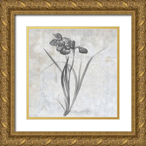 Grey Earth Balance 2 Gold Ornate Wood Framed Art Print with Double Matting by Lewis, Sheldon