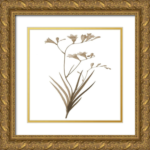 Earth Balance 4 Gold Ornate Wood Framed Art Print with Double Matting by Lewis, Sheldon