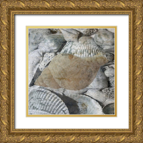 Shelly Coast 2 Gold Ornate Wood Framed Art Print with Double Matting by Lewis, Sheldon