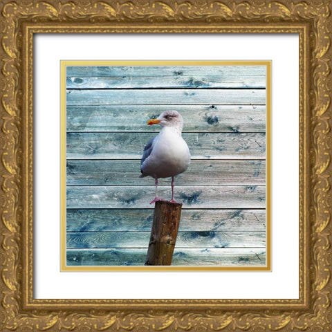 Ba Bird Gold Ornate Wood Framed Art Print with Double Matting by Lewis, Sheldon