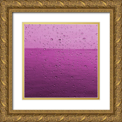 Droplets Gold Ornate Wood Framed Art Print with Double Matting by Lewis, Sheldon