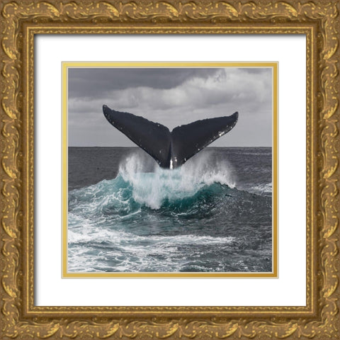 St Vincent Coast Gold Ornate Wood Framed Art Print with Double Matting by Lewis, Sheldon