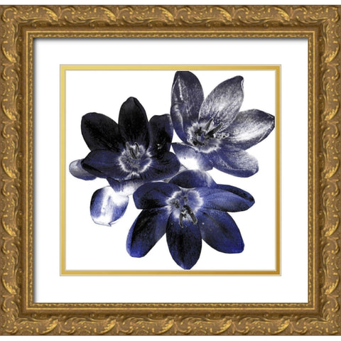Indi Potion #1 Gold Ornate Wood Framed Art Print with Double Matting by Lewis, Sheldon