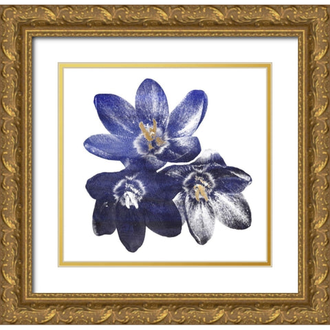 Indi Potion #2 Gold Ornate Wood Framed Art Print with Double Matting by Lewis, Sheldon