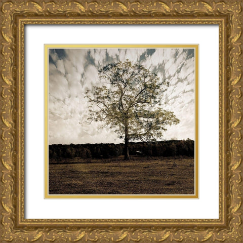 Evening Calm 2 Gold Ornate Wood Framed Art Print with Double Matting by Lewis, Sheldon