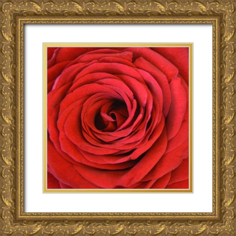 Heart Of The Rose Gold Ornate Wood Framed Art Print with Double Matting by Lewis, Sheldon