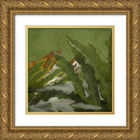 Botanical Garden Gold Ornate Wood Framed Art Print with Double Matting by Lewis, Sheldon