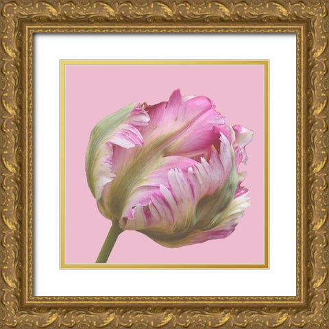 Magnificent Blossom Gold Ornate Wood Framed Art Print with Double Matting by Lewis, Sheldon