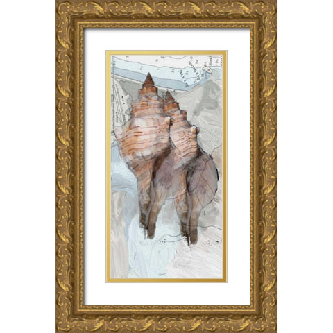 Shells Around The World 2 Gold Ornate Wood Framed Art Print with Double Matting by Butcher, Sarah