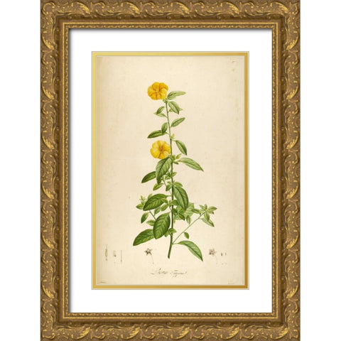Vintage Botanical 202 Gold Ornate Wood Framed Art Print with Double Matting by Carlson, Tina