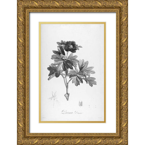 Botanical Eclipse 1 Gold Ornate Wood Framed Art Print with Double Matting by Carlson, Tina