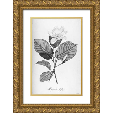 Botanical Eclipse 4 Gold Ornate Wood Framed Art Print with Double Matting by Carlson, Tina