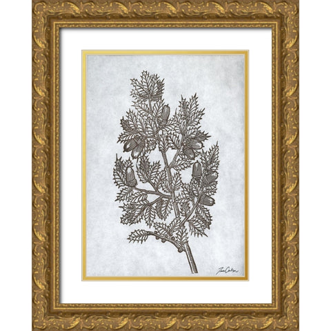 Oak Tree 3 Gold Ornate Wood Framed Art Print with Double Matting by Carlson, Tina