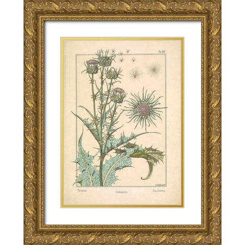 Thistle Chardon Gold Ornate Wood Framed Art Print with Double Matting by Carlson, Tina