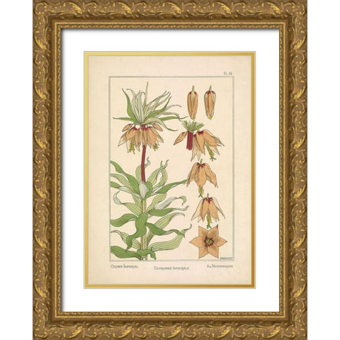 Crown Imperial Gold Ornate Wood Framed Art Print with Double Matting by Carlson, Tina