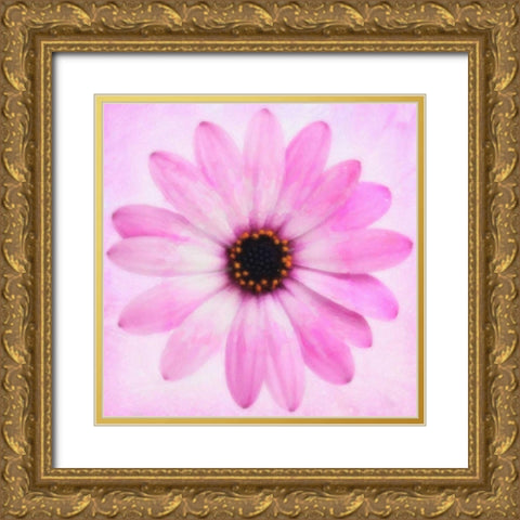 DAISY CHAIN 4 Gold Ornate Wood Framed Art Print with Double Matting by Greene, Taylor