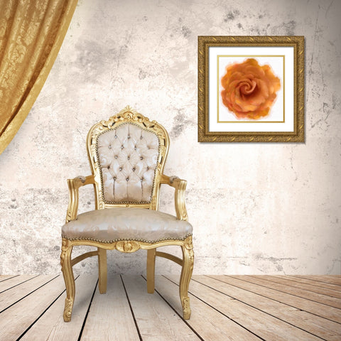 Orange Rose Gold Ornate Wood Framed Art Print with Double Matting by Greene, Taylor