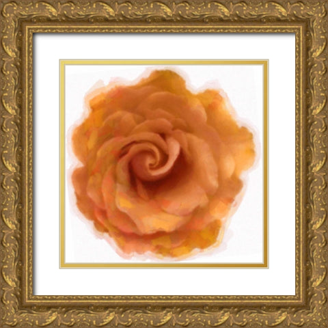 Orange Rose Gold Ornate Wood Framed Art Print with Double Matting by Greene, Taylor